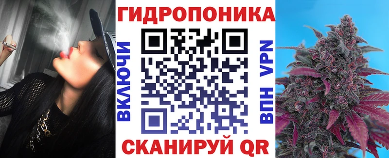 Бошки марихуана индика  закладки  Касли 